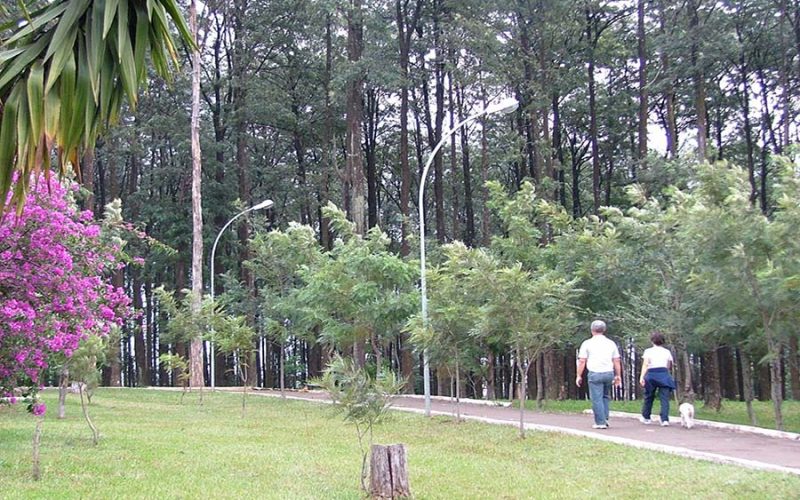 2006_0704(019)