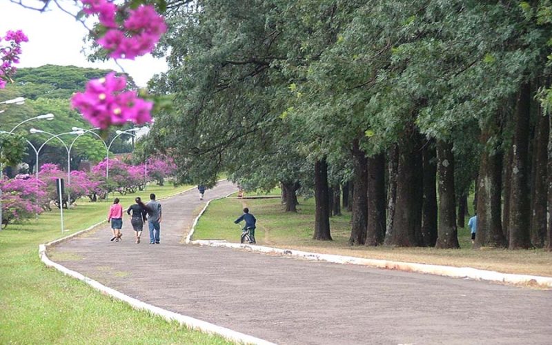 2006_0704(021)