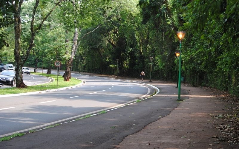 cam-bosque-2009