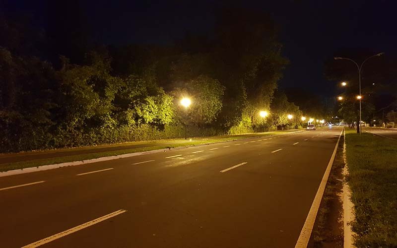 cam-bosque-2012