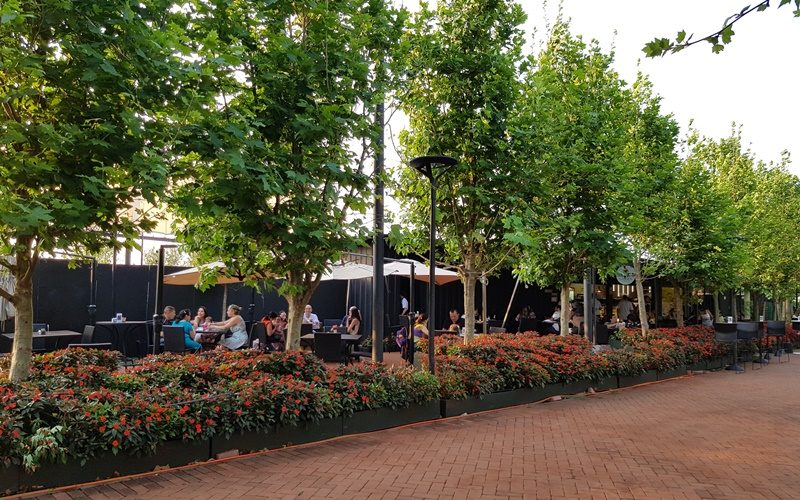 eurogarden008
