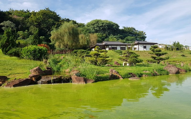 parque-japao26