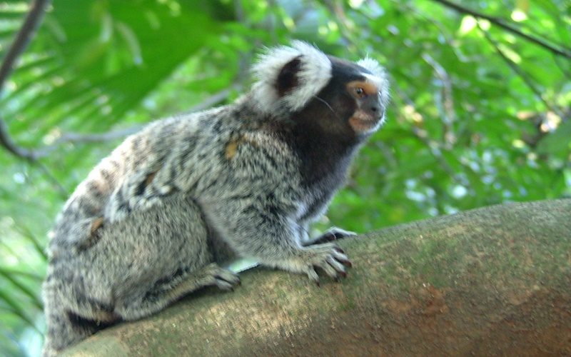 parqueinga004