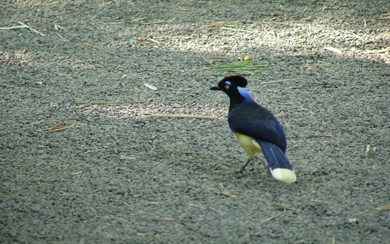 parqueinga007