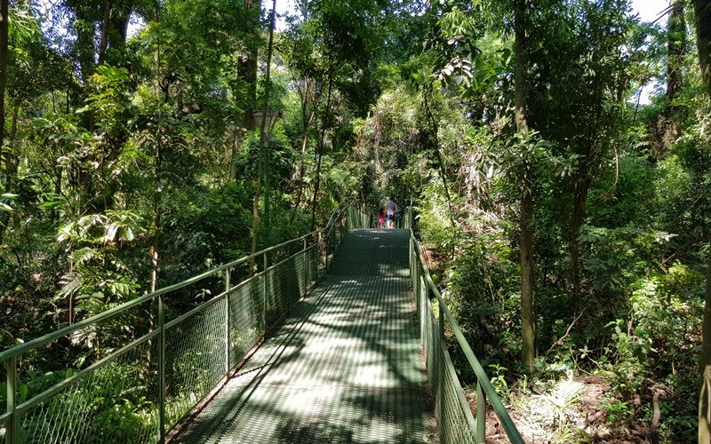 parqueinga008