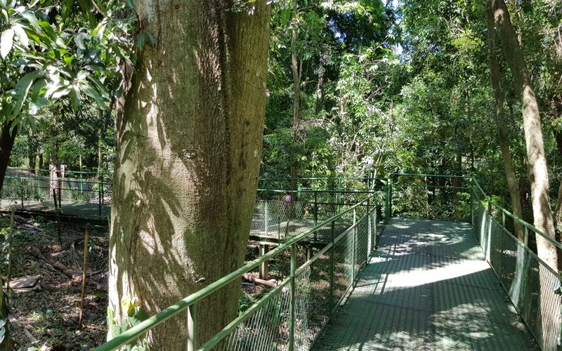 parqueinga009