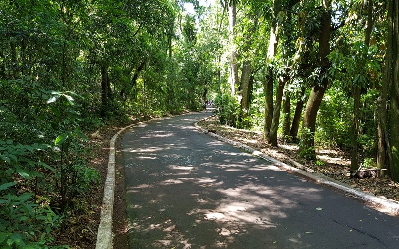 parqueinga010