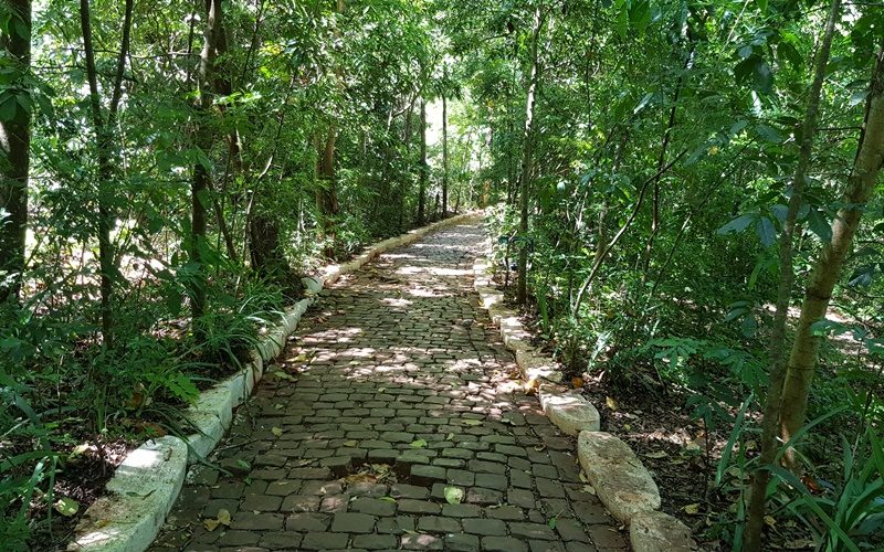 parqueinga015