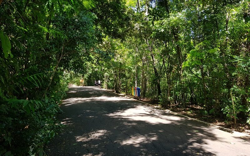 parqueinga017