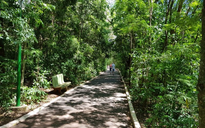 parqueinga020