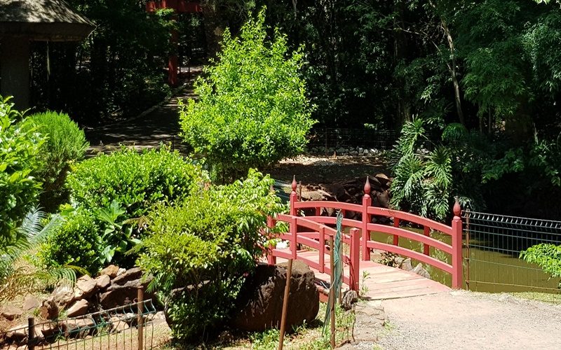 parqueinga024