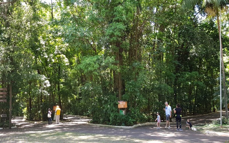 parqueinga026