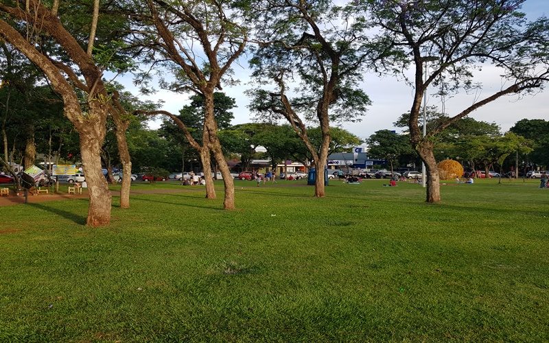 praca-catedral03